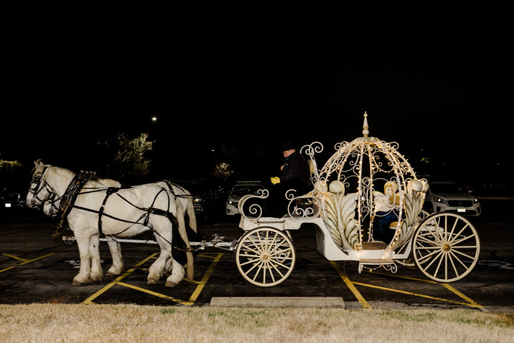 Matejek Wedding